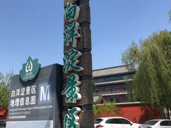 -白洋淀景区