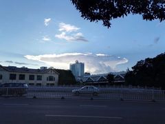 -金鸡山公园