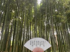 -陈家山荷花公园