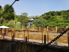 景点-东部华侨城