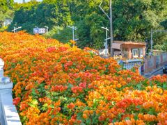 -天河客运站(地铁站)