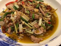 -鸿恩陶然大观园