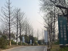 -铁山坪森林公园