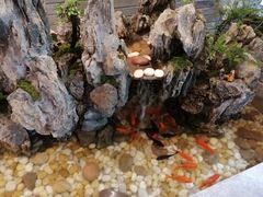 -潘小辣鲜肉老火锅