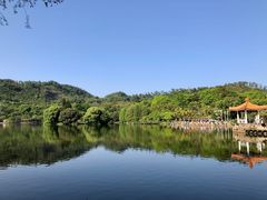-深圳仙湖植物园