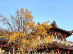 -句容茅山景区