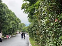 -杭州野生动物世界