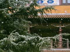 -高旻寺