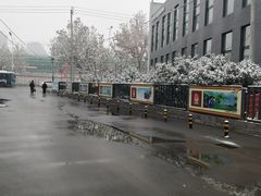 -呀路古热带植物园