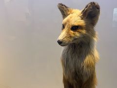 -重庆自然博物馆(新馆)