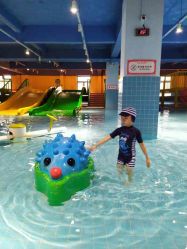 点击看大图 -宝燕乐园(闵行旗舰店)