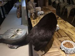 -小时光咖啡馆(开森度假森林店)