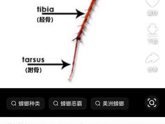 -巧美面家(东华西店)