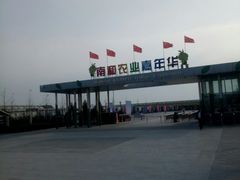 -南和农业嘉年华