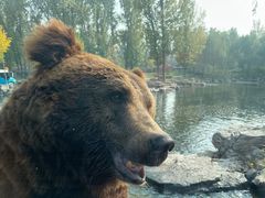 -北京野生动物园