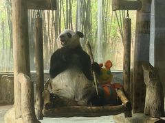 -海南热带野生动植物园