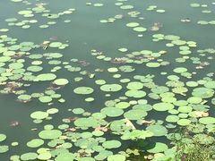 -颐和园-景明楼