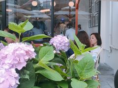 -Peet's Coffee皮爷咖啡(大学路店)