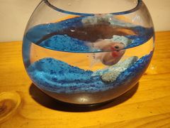 -参差咖啡(水果湖公园店)