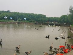 -哈尔滨北方森林动物园