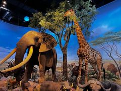 -陕西自然博物馆