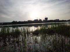 -美兰湖景区