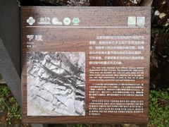 -楠溪江石桅岩