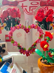 -乐高授权专卖店(朝阳大悦城店)
