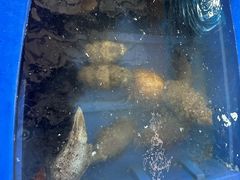 -蓝湾碧波·老字号·疍家非遗海上餐厅