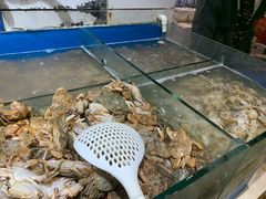 -凯悦·东方公主号 全球海鲜自助餐厅(凯丹广场店)
