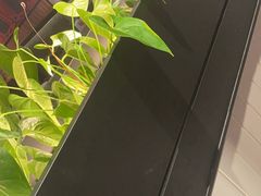 -管氏翅吧(台湾街店)