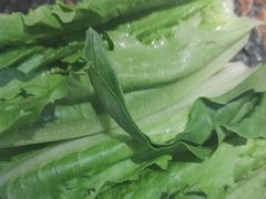 -德香苑脆皮烤鸭·经典(爱融荟城店)