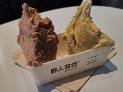 -野人牧坊Gelato(天津南开大悦城店)