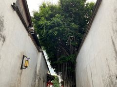 -三坊七巷历史文化街区