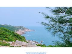 -广东惠东海龟国家级自然保护区