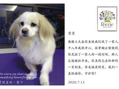 -翡翠森林宠物火化殡葬(通州店)