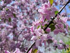 -郑州中国绿化博览园