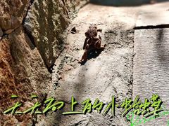-崂山九水游览区
