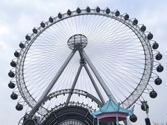-海合安武汉极地海洋公园