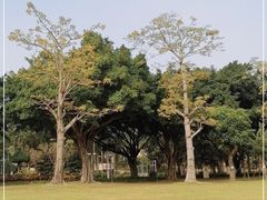 -紫马岭公园