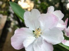 -唐城墙遗址公园