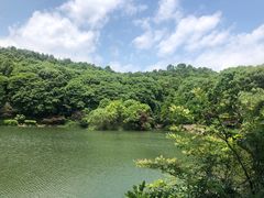 -岳麓山风景名胜区