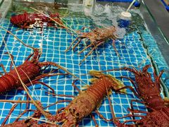 -三亚火车头万人海鲜广场