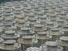 -厨邦酱油文化博览馆