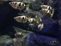 -成都浩海立方海洋公园