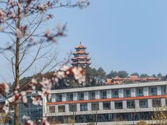 -铁山坪森林公园