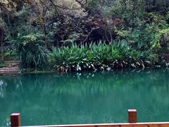 -贵阳市花溪国家城市湿地公园