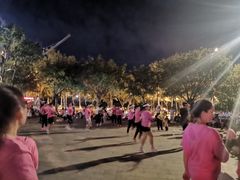 -大岗仙庙烧鸡(海南总店)