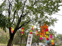 -北京十三陵国家森林公园蟒山景区