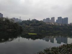 -重庆彩云湖湿地公园